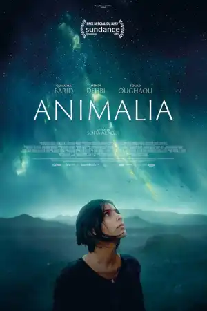 Animalia постер