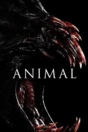 Animal постер