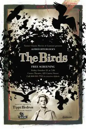 The Birds постер