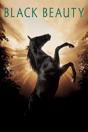 Black Beauty постер