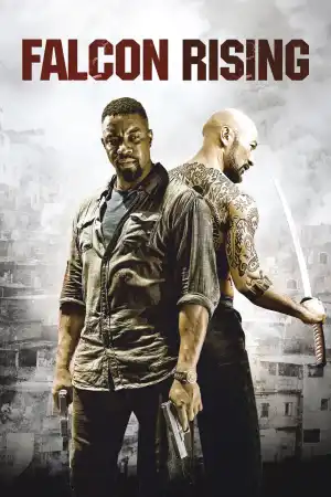 Falcon Rising постер