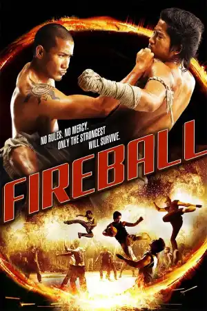 Fireball постер