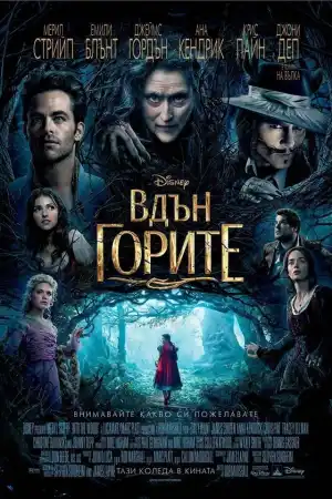 Into the Woods постер