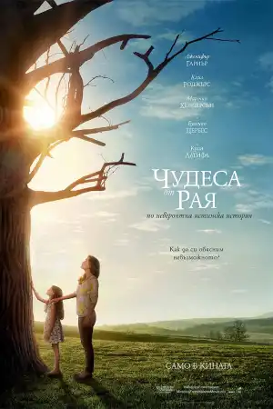 Miracles from Heaven постер