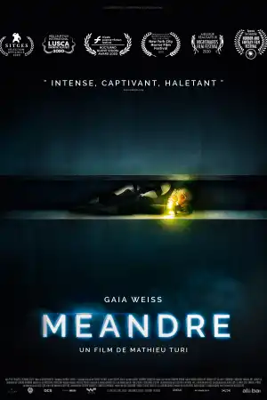 Meander постер