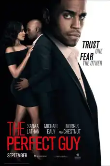 Перфектния човек - Трилъри онлайн - 2015