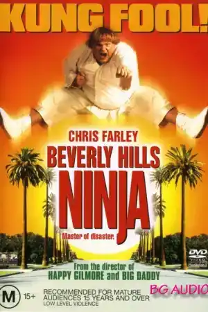 Beverly Hills Ninja постер