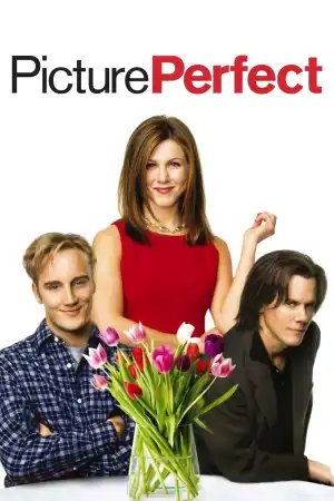 Picture Perfect постер