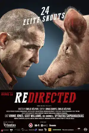 Redirected постер