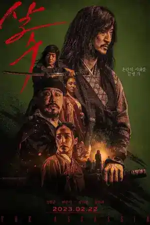 The Assassin постер