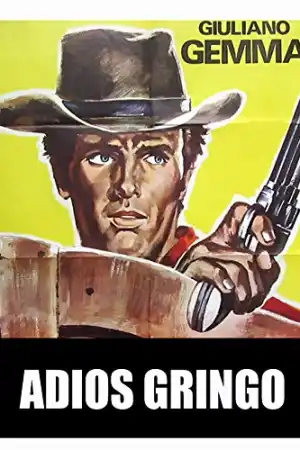 Adios Gringo постер