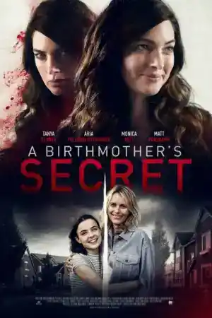 A Birthmother's Betrayal постер