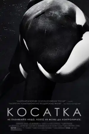 Blackfish постер