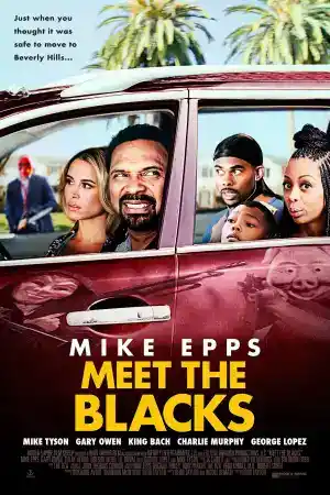 Meet The Blacks постер