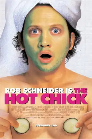 The Hot Chick постер