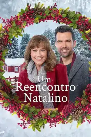 Cranberry Christmas постер