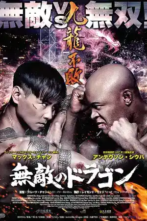 The Invincible Dragon постер
