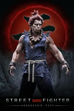 Street Fighter: Assassin's Fist постер