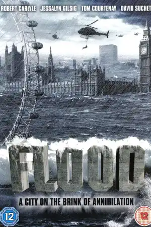 Flood постер