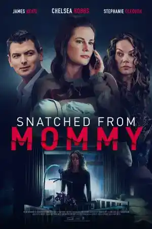 Snatched from Mommy / A Mother's Fury постер