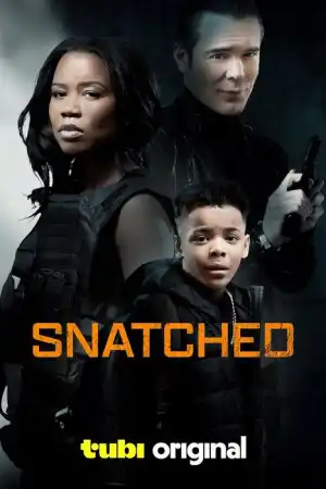 Snatched постер