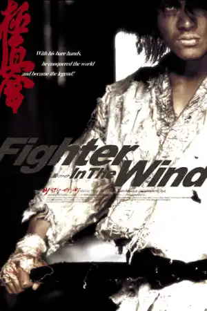 Fighter in the Wind постер