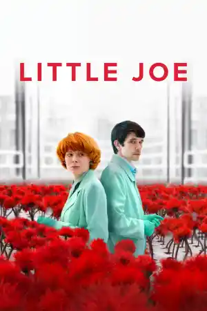 Little Joe постер