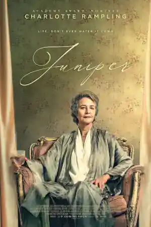 Juniper постер