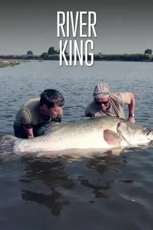 River King постер