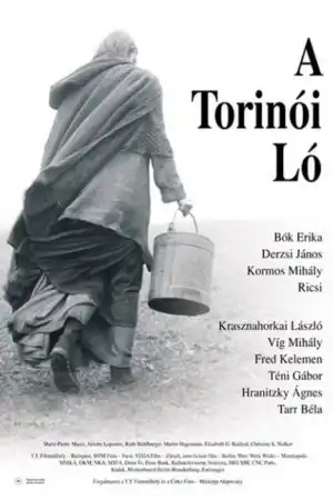 A Torinoi Lo постер