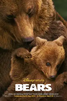 Мечки - Документални филми онлайн - 2014