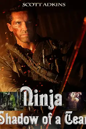 Ninja: Shadow of a Tear постер