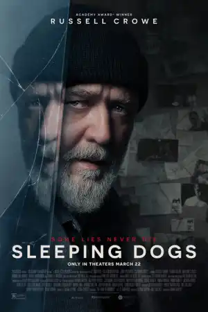 Sleeping Dogs постер