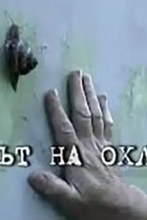 Братът на охлюва постер