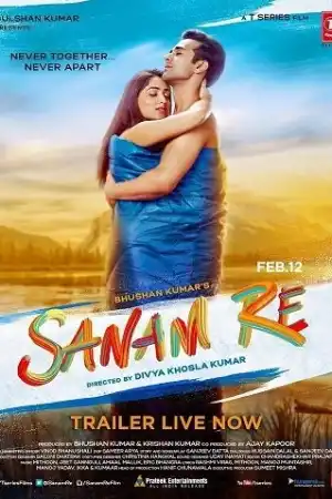 Sanam Re постер