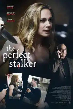 The Perfect Stalker постер
