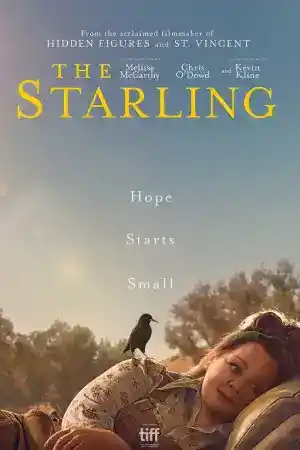The Starling постер