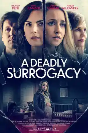 A Deadly Surrogacy / The Baby Swindler постер