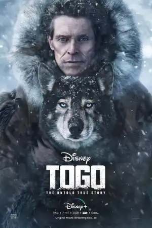 Togo постер