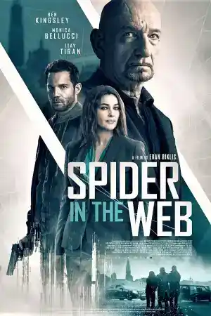 Spider in the Web постер