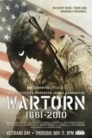 Wartorn 1861-2010 постер