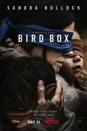 Bird Box постер