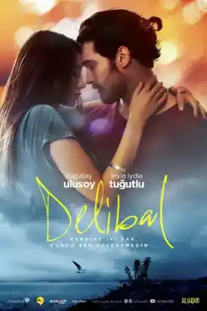 Delibal постер