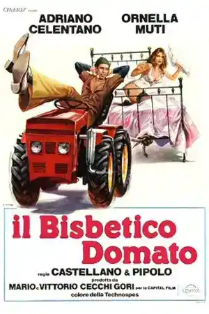 Il bisbetico domato постер