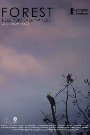 Forest: I See You Everywhere постер
