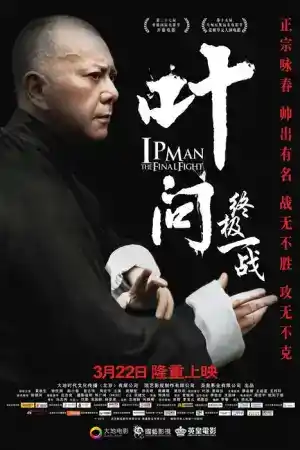 Ip Man: The Final Fight постер