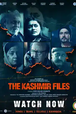 The Kashmir Files постер