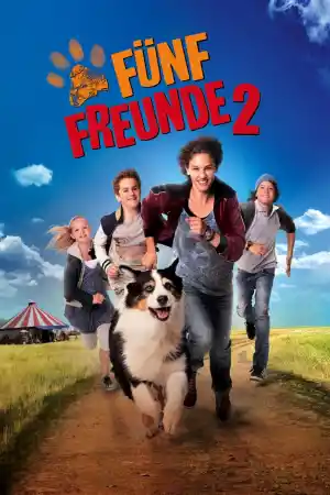 Funf Freunde 2 постер