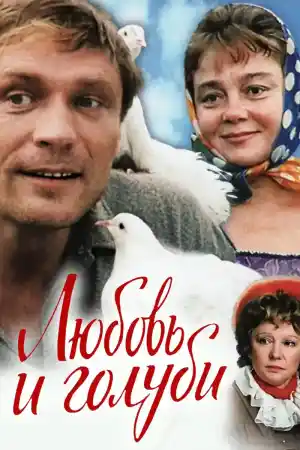 Любовь и голуби постер