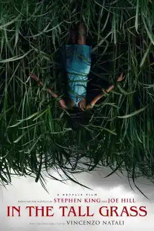 In the Tall Grass постер